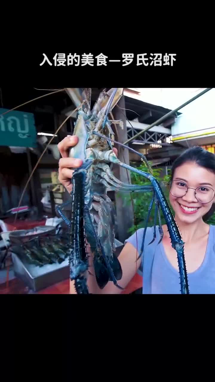 入侵的美食罗氏沼虾