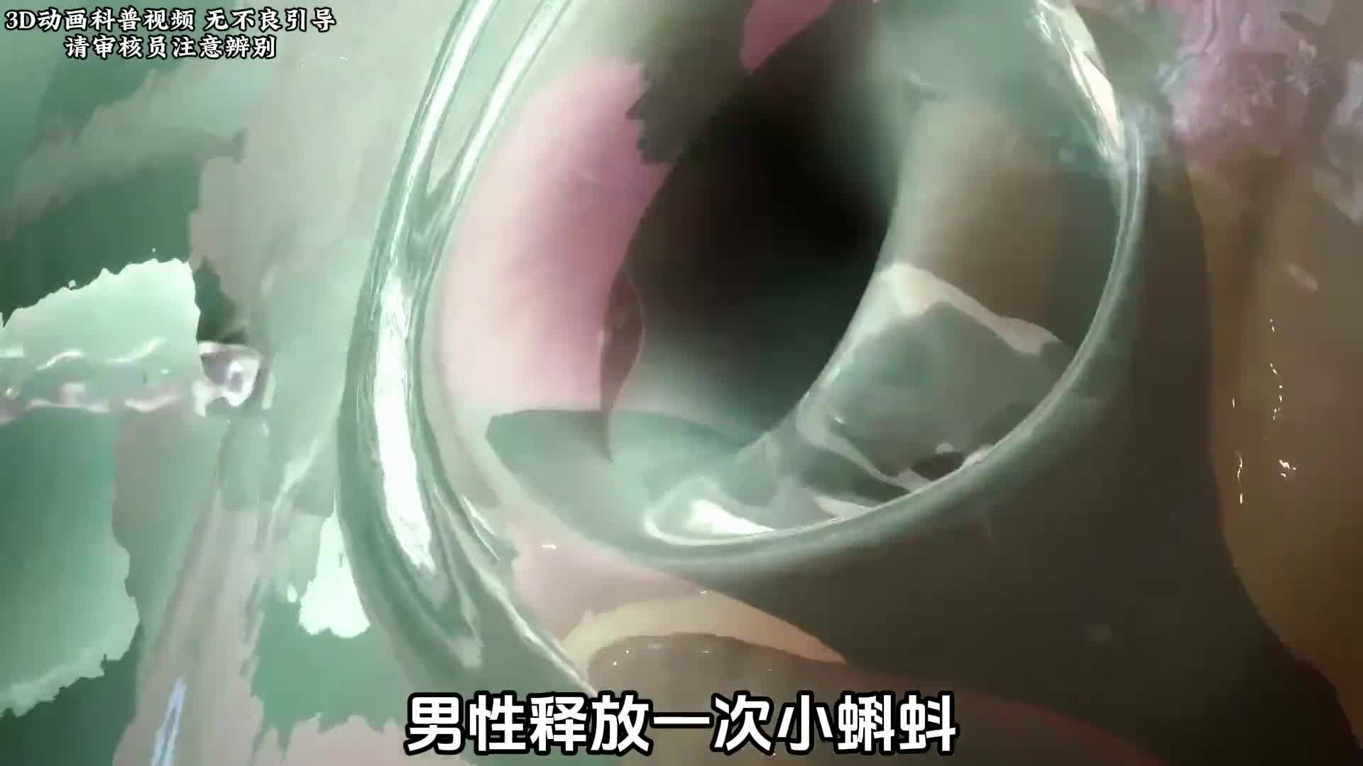 男性释放一次小蝌蚪身体会消耗多少能量