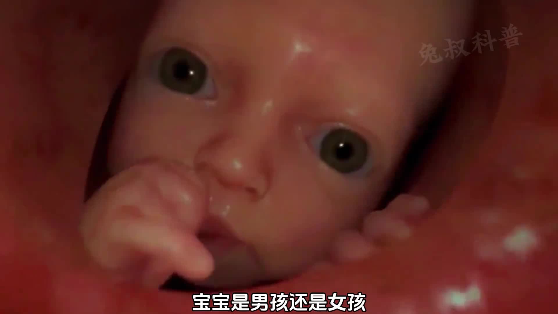 宝宝的性别到底是如何确定的是妈妈还是爸爸