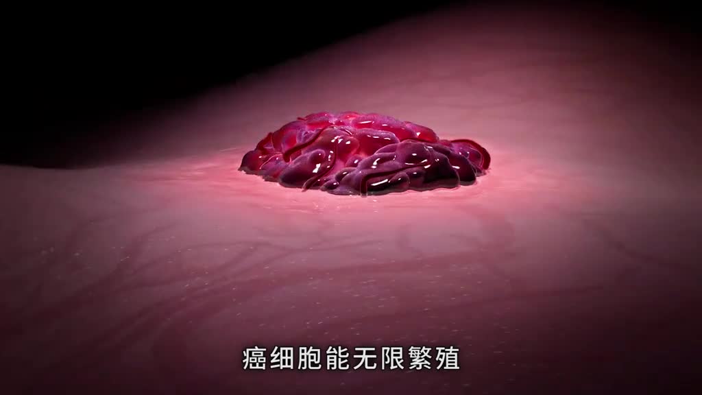 癌细胞能无限繁殖为何不用于制作肉制品呢