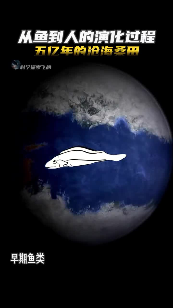 从鱼到人的演化过程感受5亿年的沧海桑田
