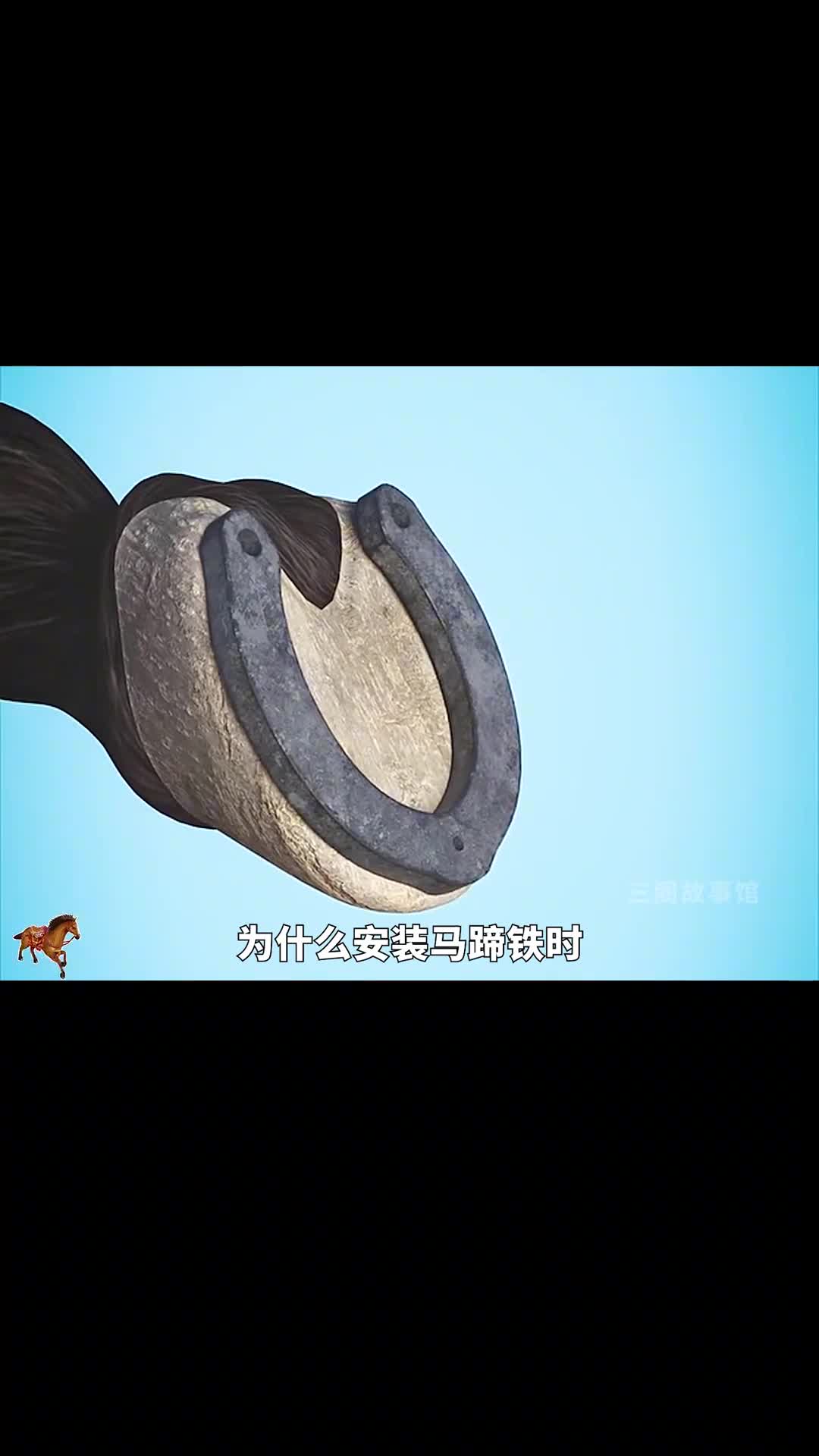 为什么马蹄铁的钉子不会伤害到马呢