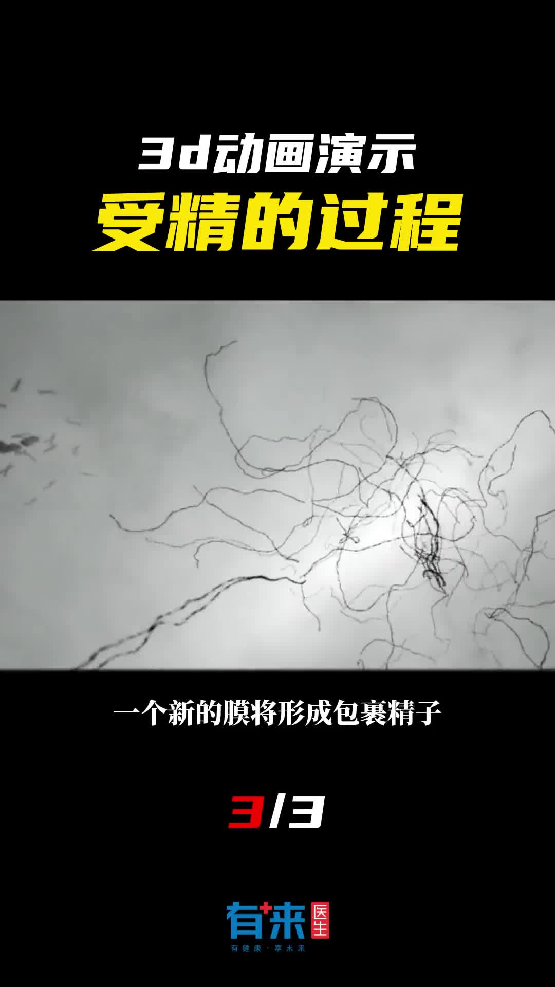 原来新生命的诞生是如此复杂