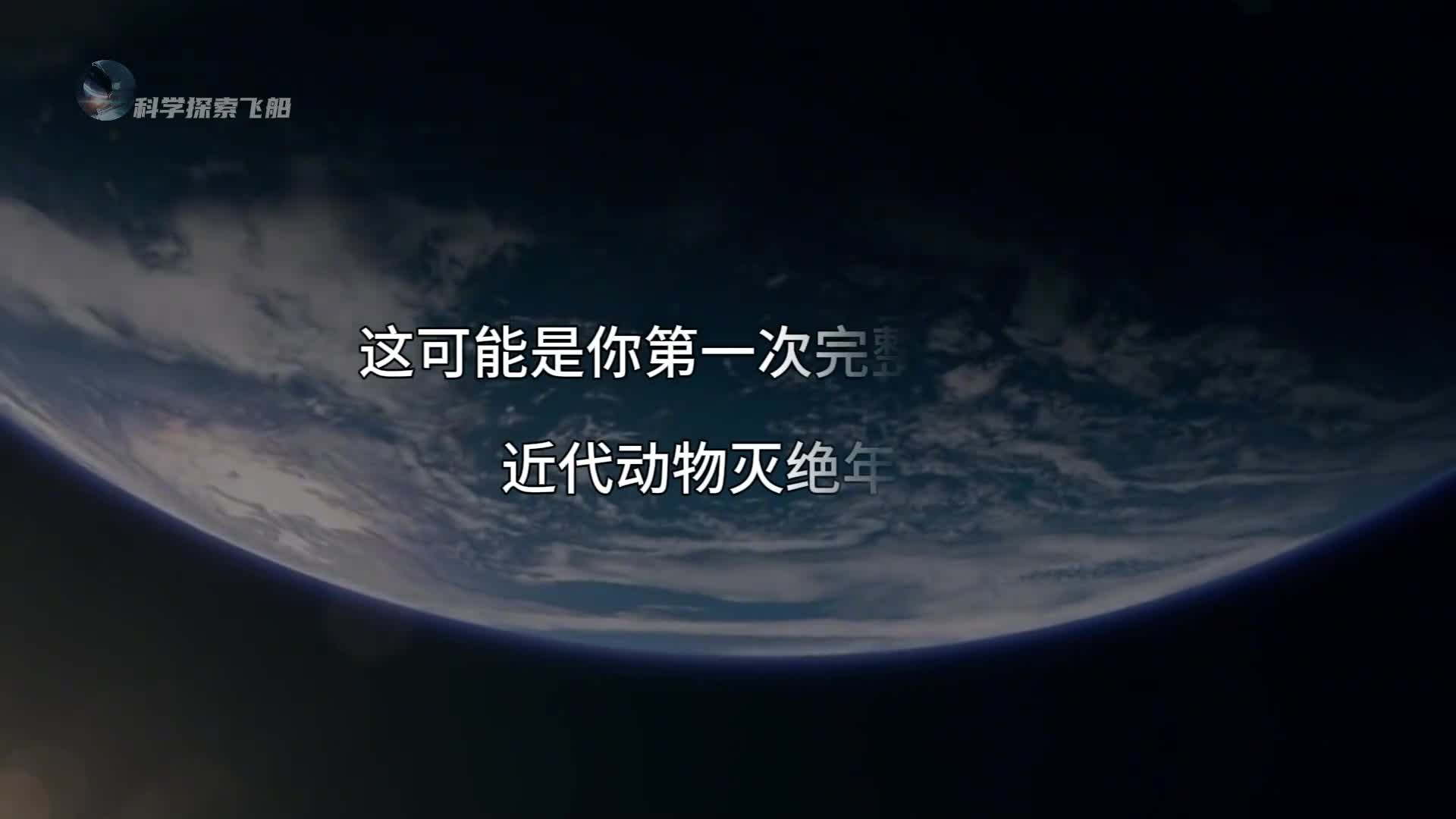 近代动物灭绝年表人类过度的贪婪造就了这场生灵的悲歌