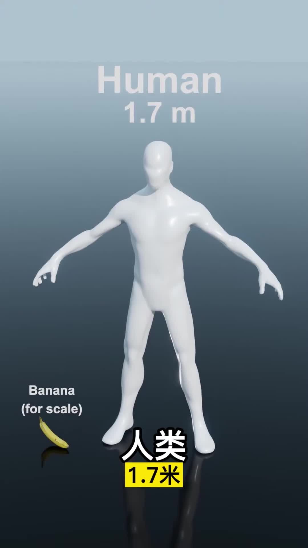 宇宙到底有多大人类有多渺小