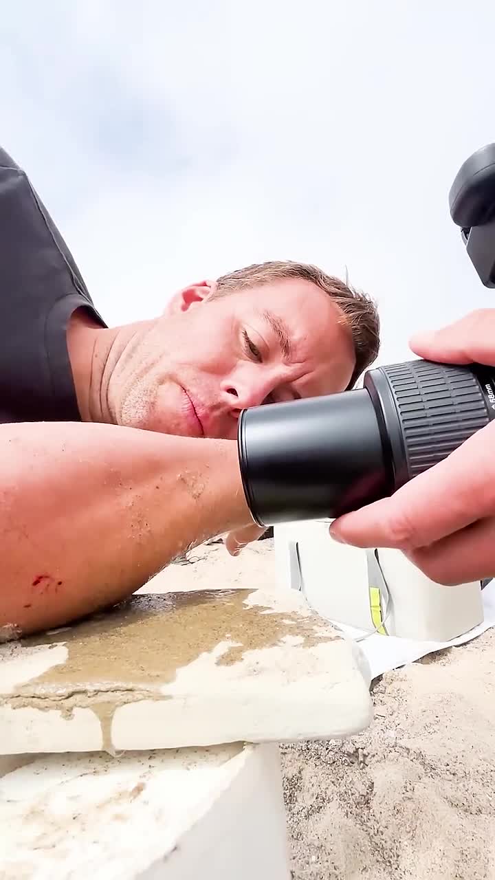 什么是沙跳蚤以及它的价值