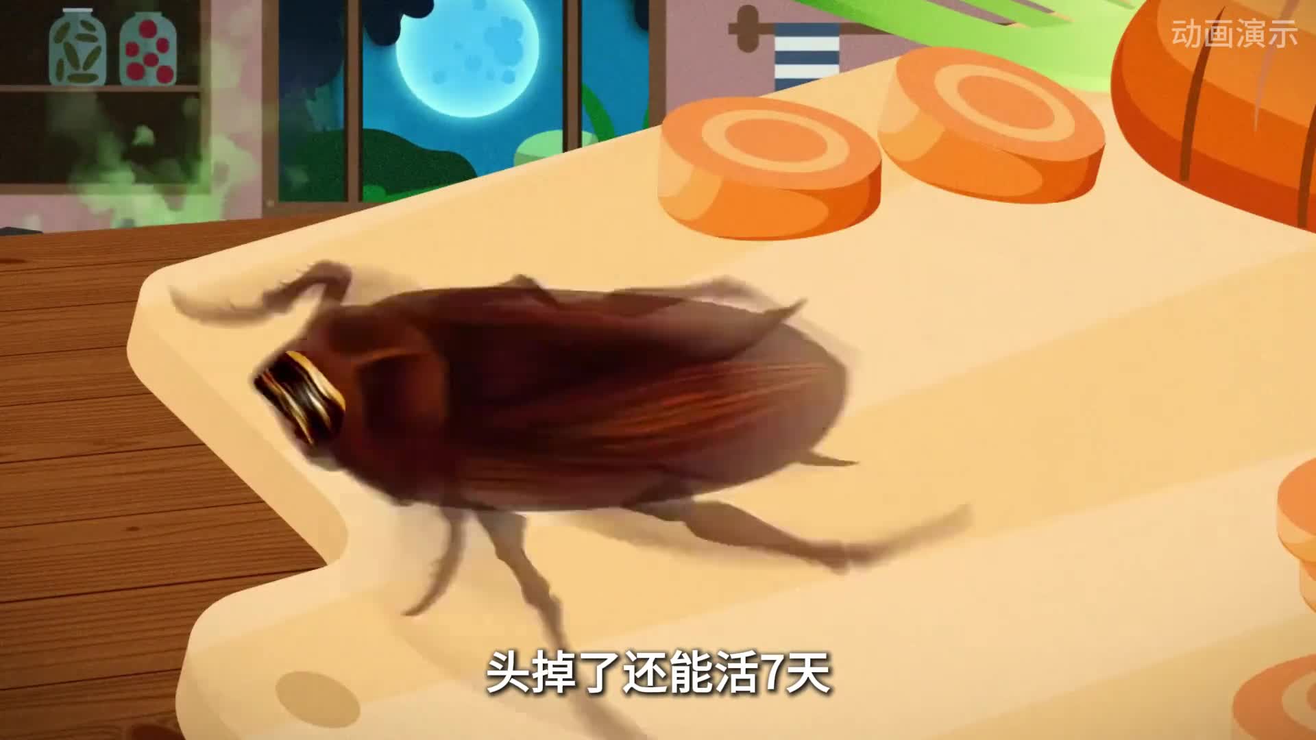 为什么蟑螂如此难以消灭如何才能硬控蟑螂