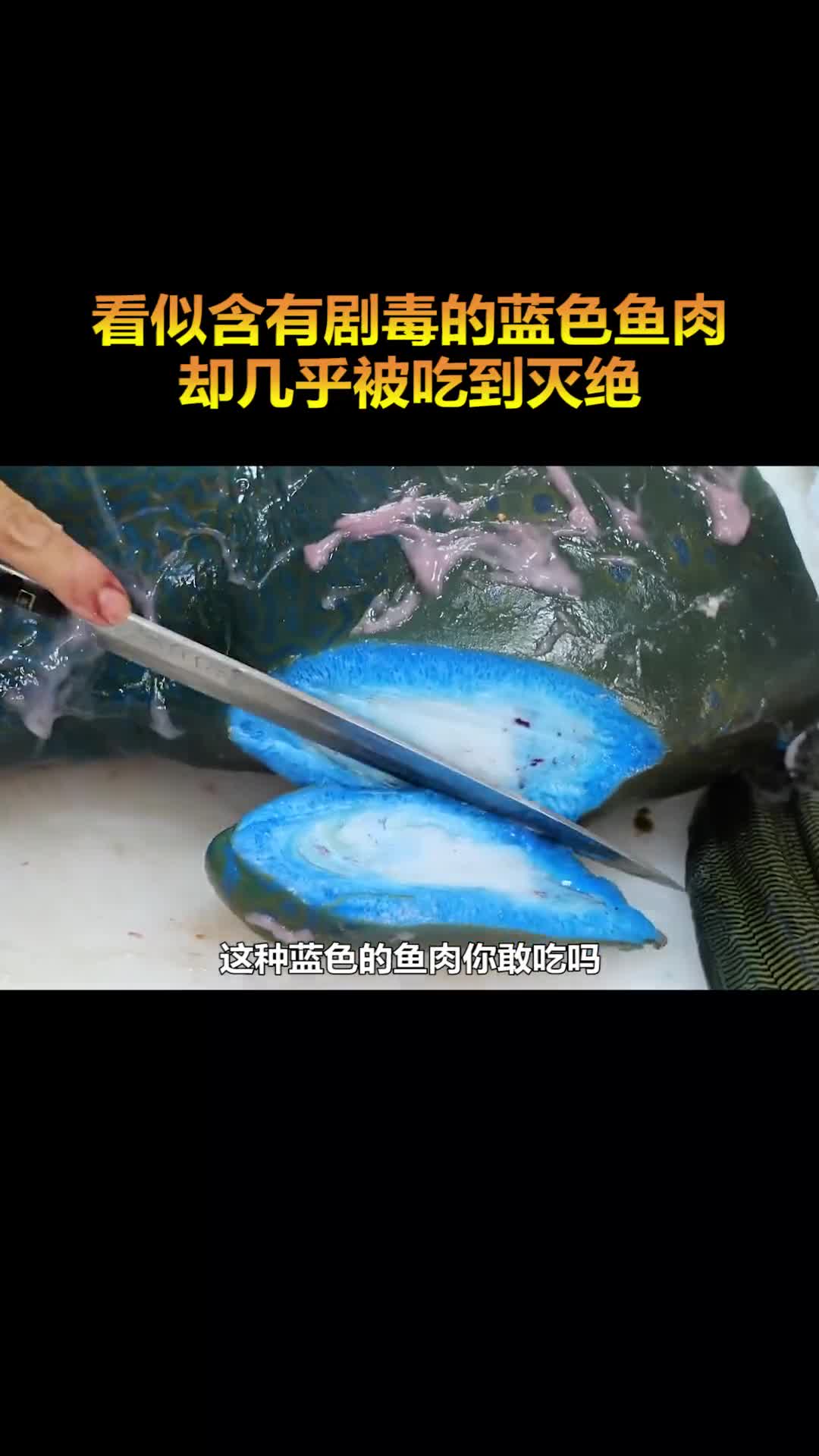 这种蓝色的鱼肉你敢吃吗