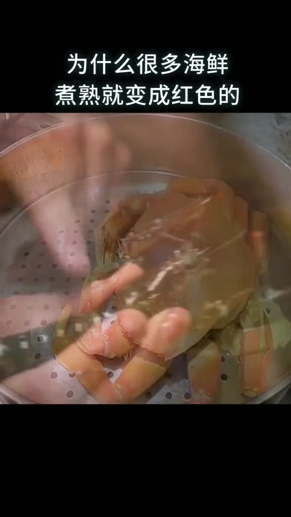 为什么很多海鲜煮熟就变成红色的