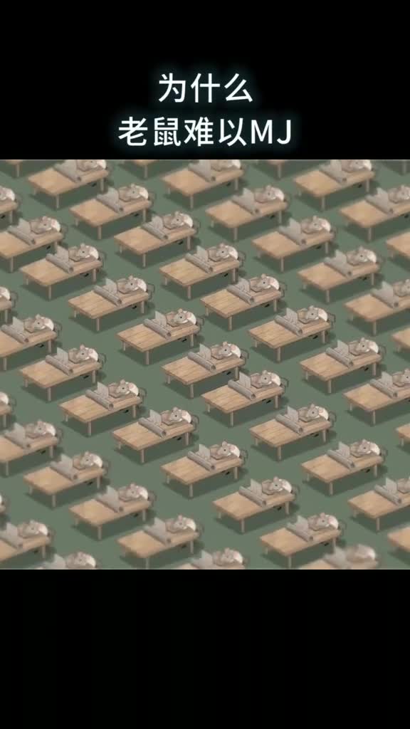 为什么老鼠难以MJ