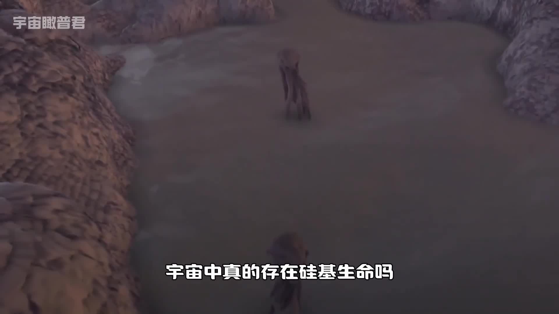 硅基生命真的存在吗它们到底有什么不同之处