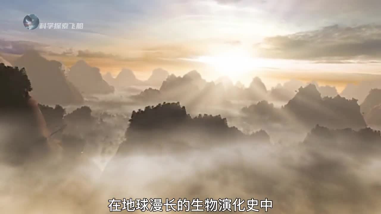 被称为巨虫时代的远古石炭纪究竟是一个怎样的世界