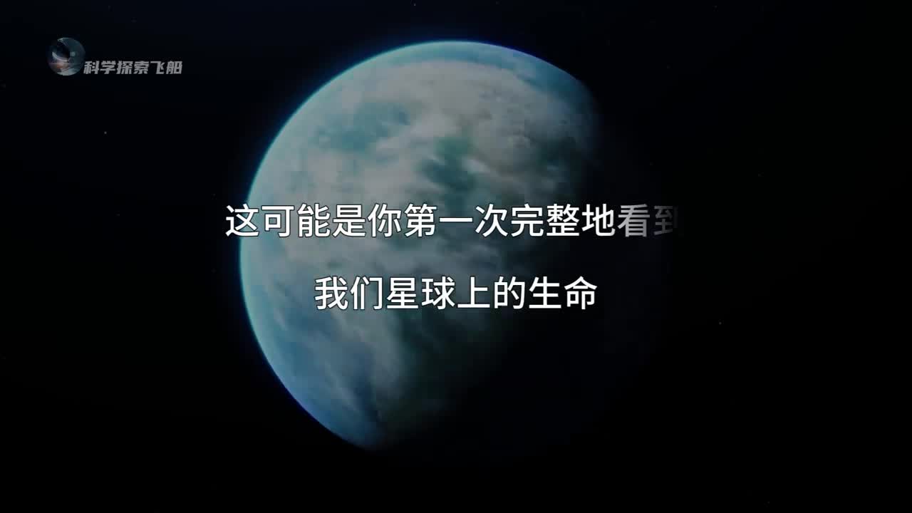 致敬我们星球上的生命献给每一位存在过的生灵