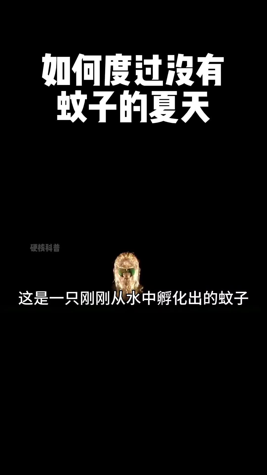 看完这条视频你是否知道了如何做才能不被蚊子盯着咬吗