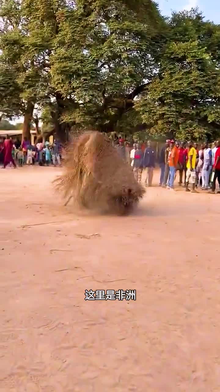 非洲稻草人舞蹈