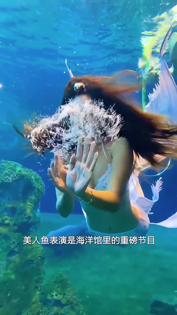 值得尊敬的美人鱼从业者