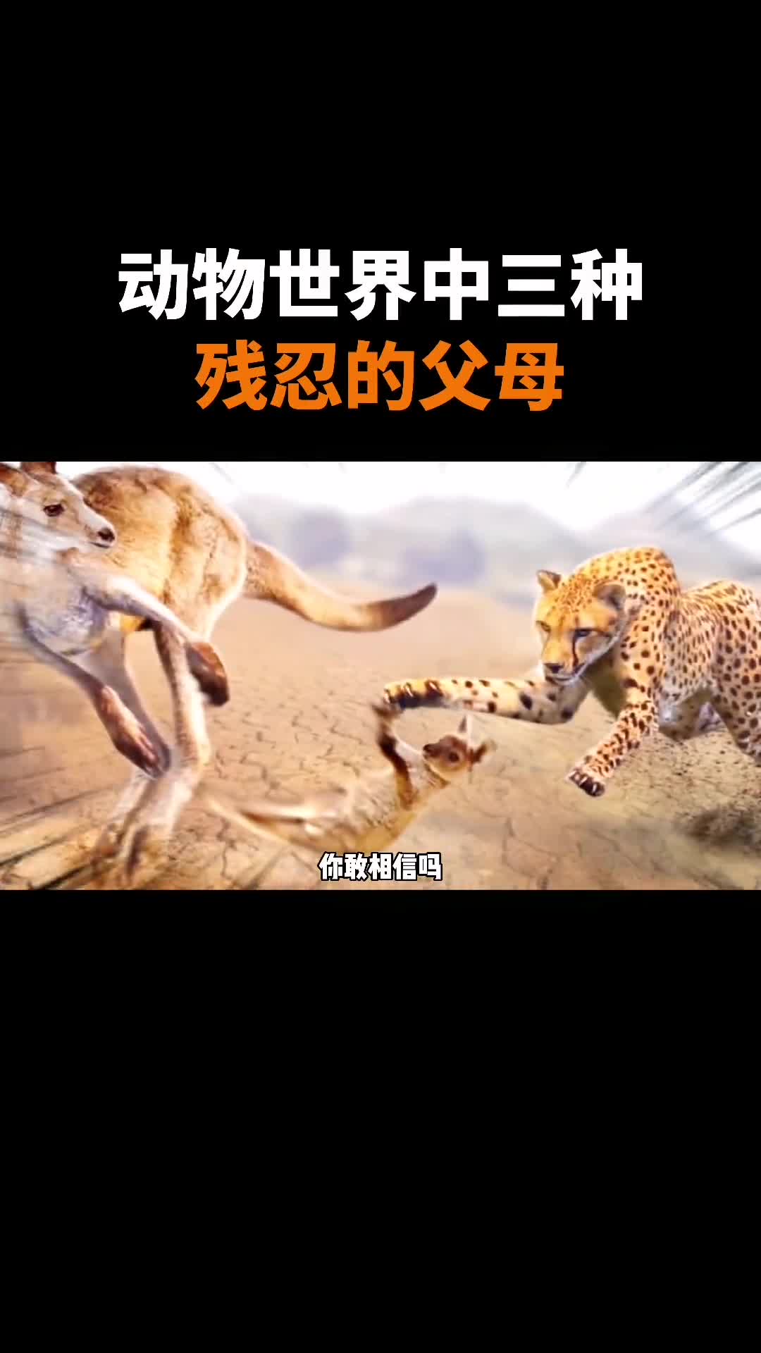 动物界中三种残忍的父母你都见过那几个