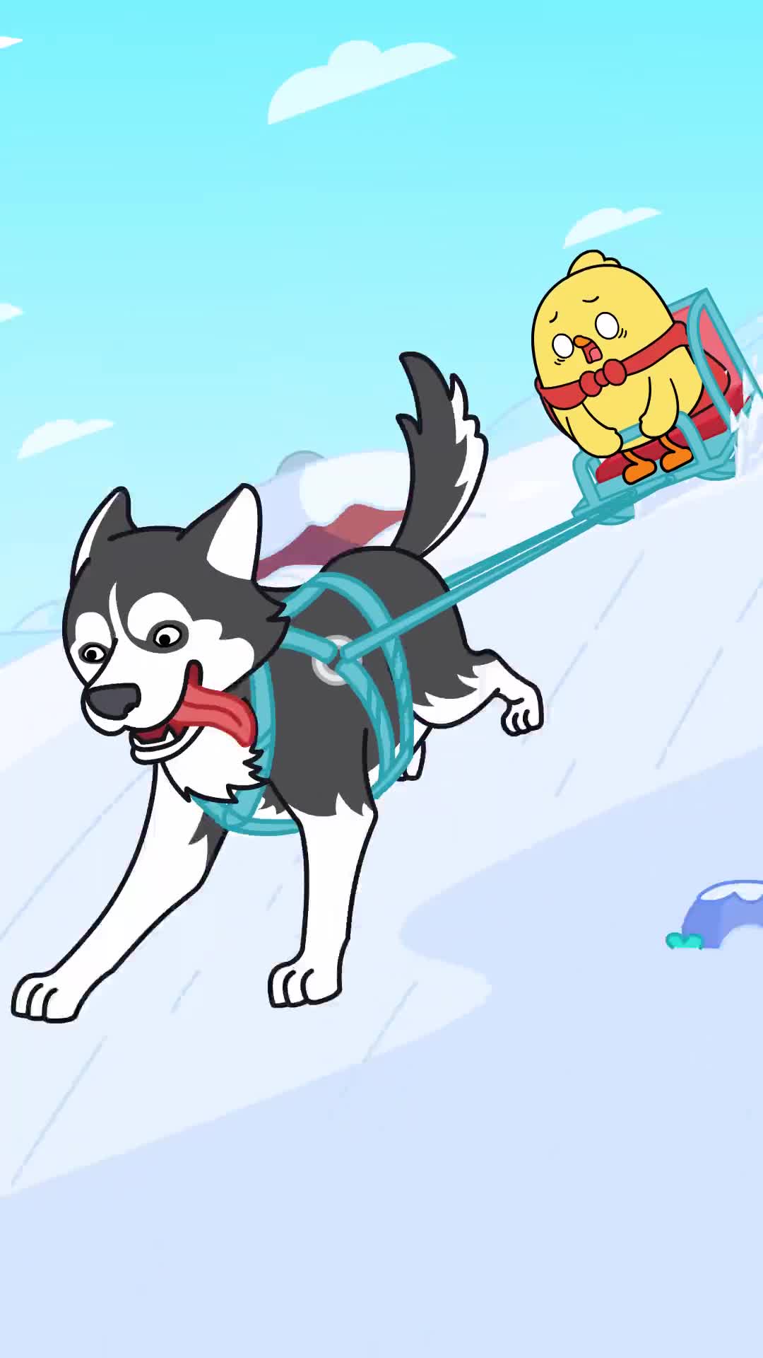 二哈不是二它只是个有主见的大男孩