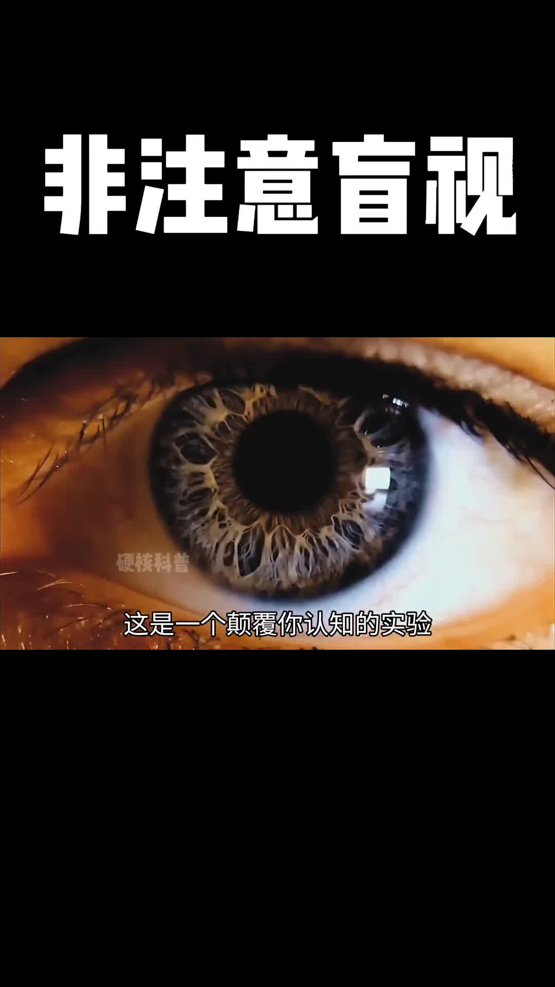 在视频中的问题你发现了多少你生活中有遇到多盲视的情况么