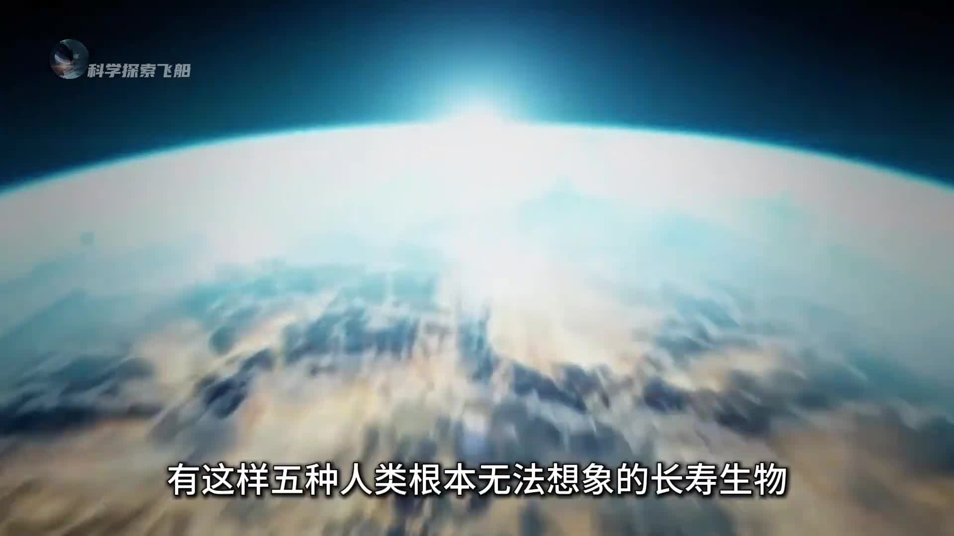 地球上5种长寿的生物特别是最后一种甚至能打破时间的限制