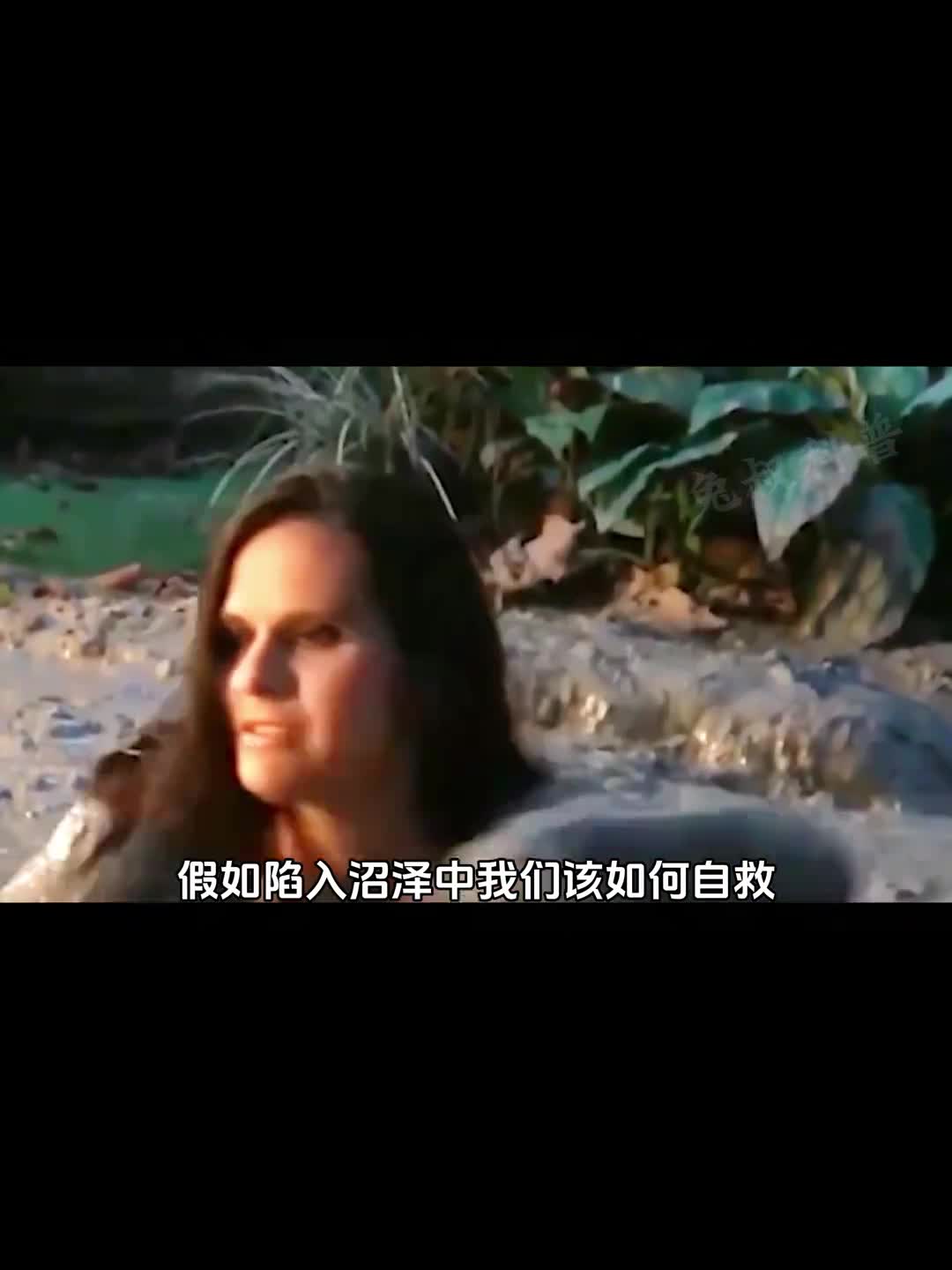 如果陷入沼泽中我们应该怎么办