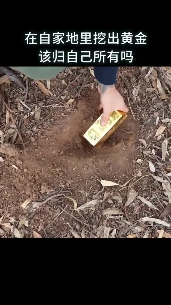 在自家地里挖出的黄金归自己吗
