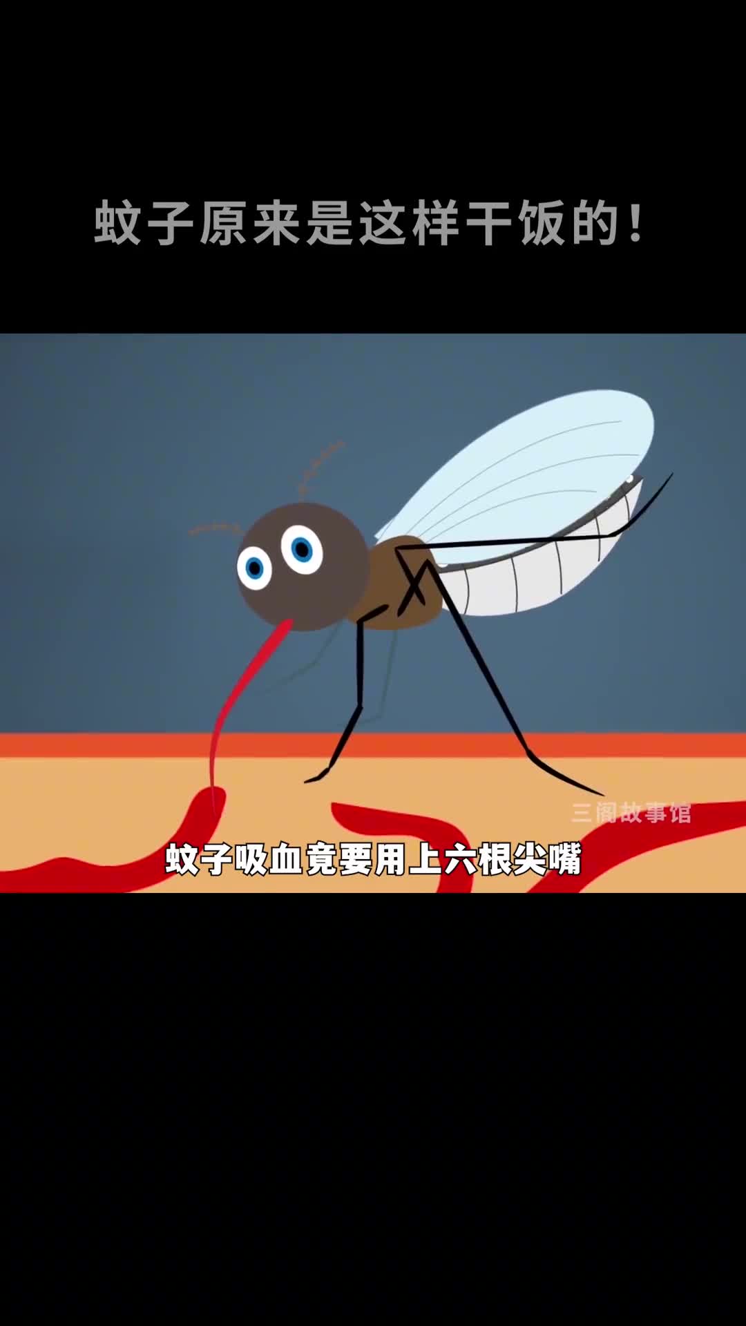 你绝对想不到蚊子吸血竟要用上6根尖嘴