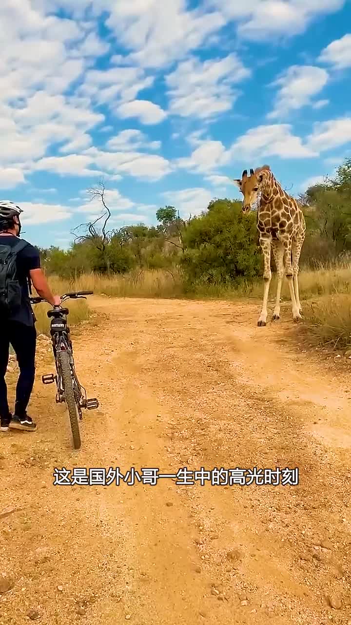 小哥被长颈鹿打劫