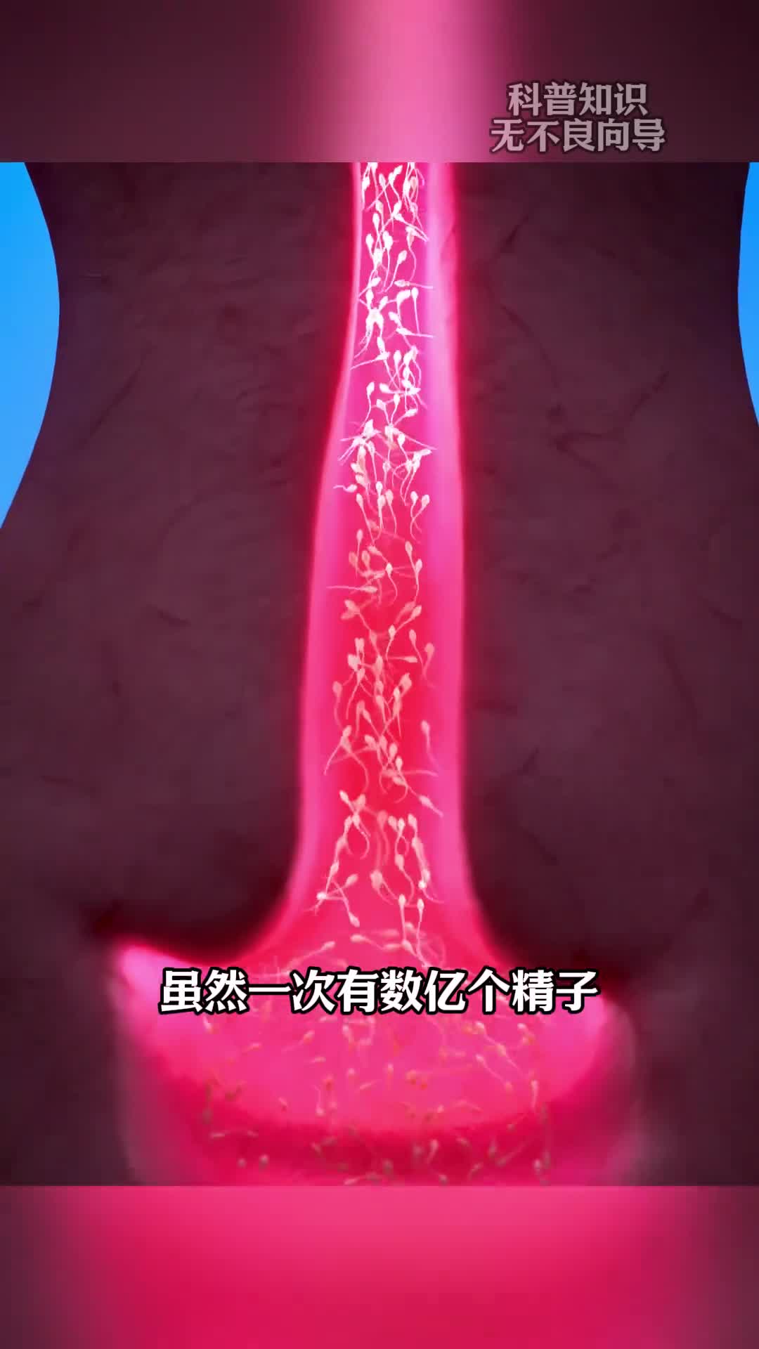 第140集丨你就是天选之子