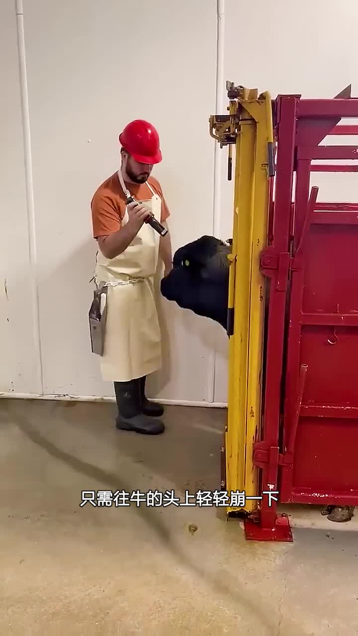 大型屠宰场必备的利器