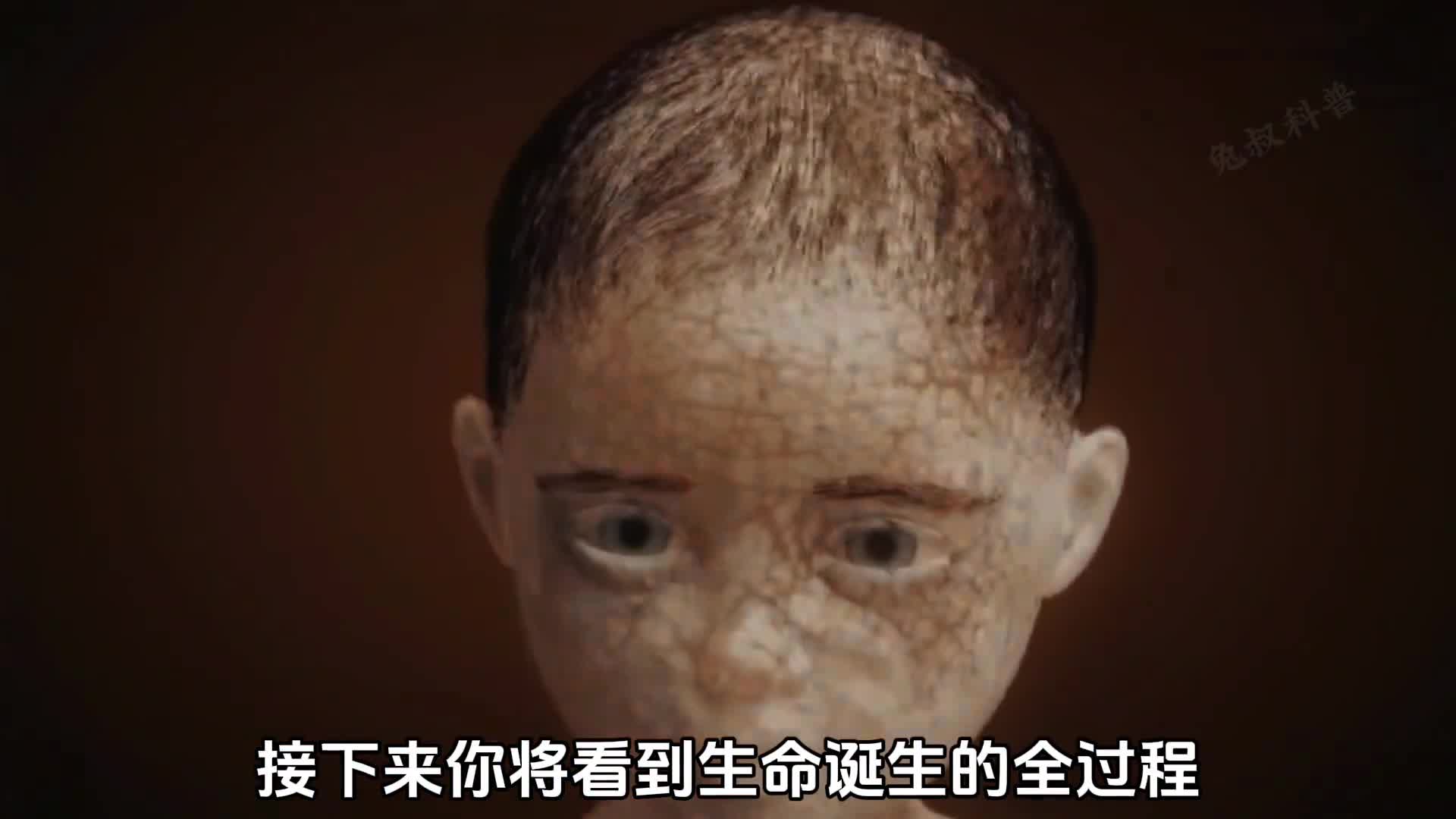 胎儿成长记这就是胎儿发育的全过程不得不说生命的诞生真的是一个奇迹