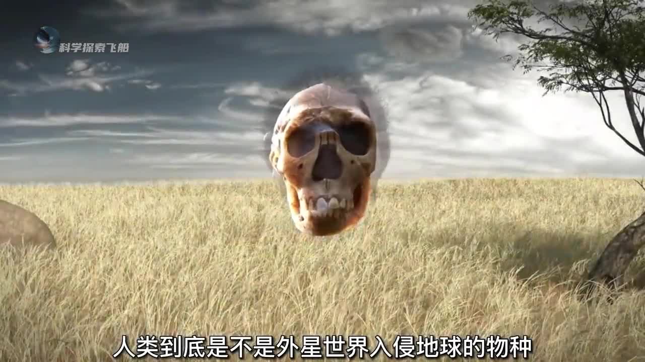 达尔文进化论不断被更多人质疑人类到底是不是进化而来的