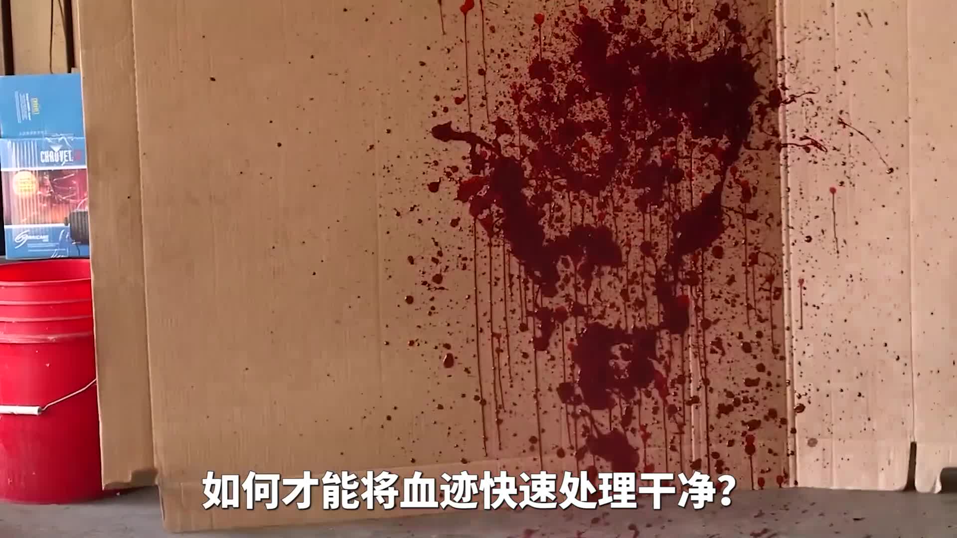 如何才能将血迹快速处理干净