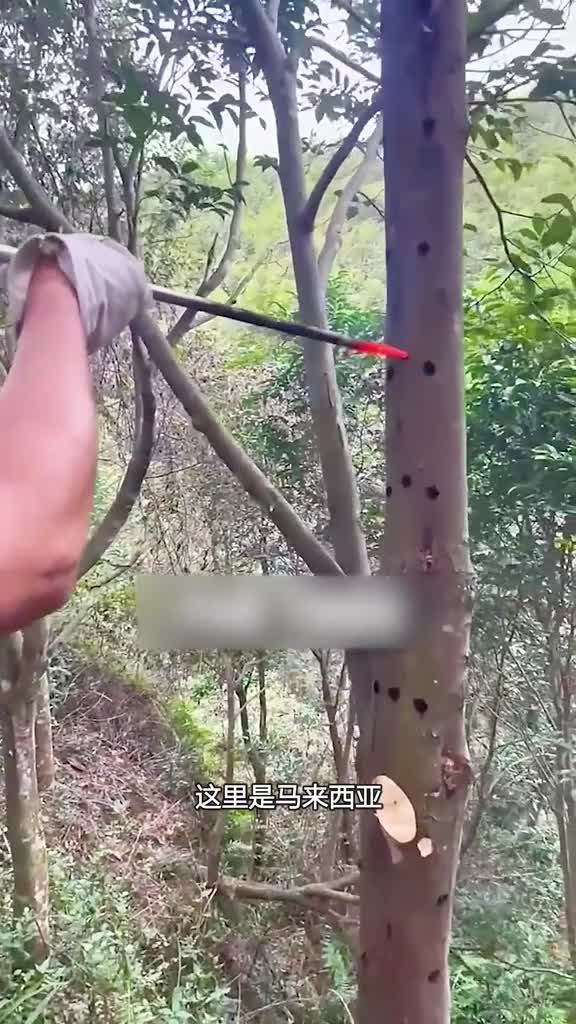 香水原材料的来源