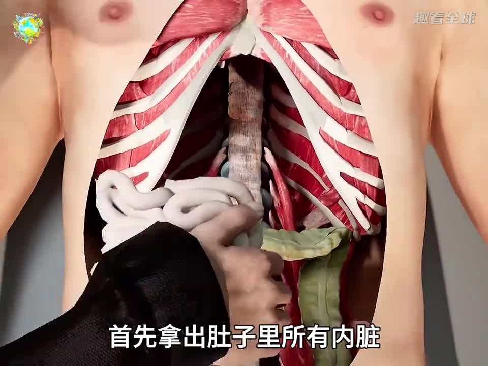 木乃伊究竟是怎么制作的