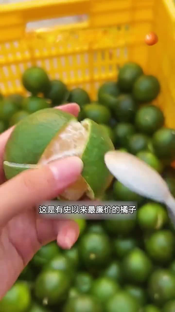 比黄金价值还要高的陈皮