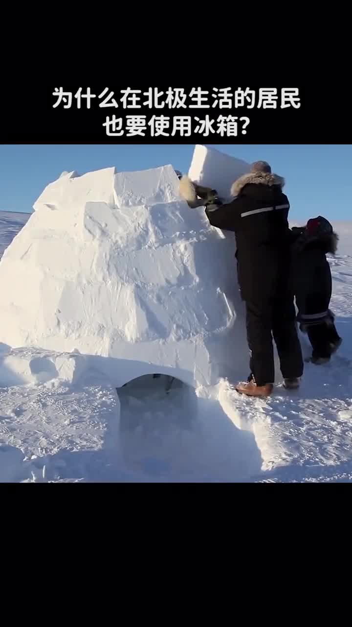 为什么北极生活的居民也要使用冰箱