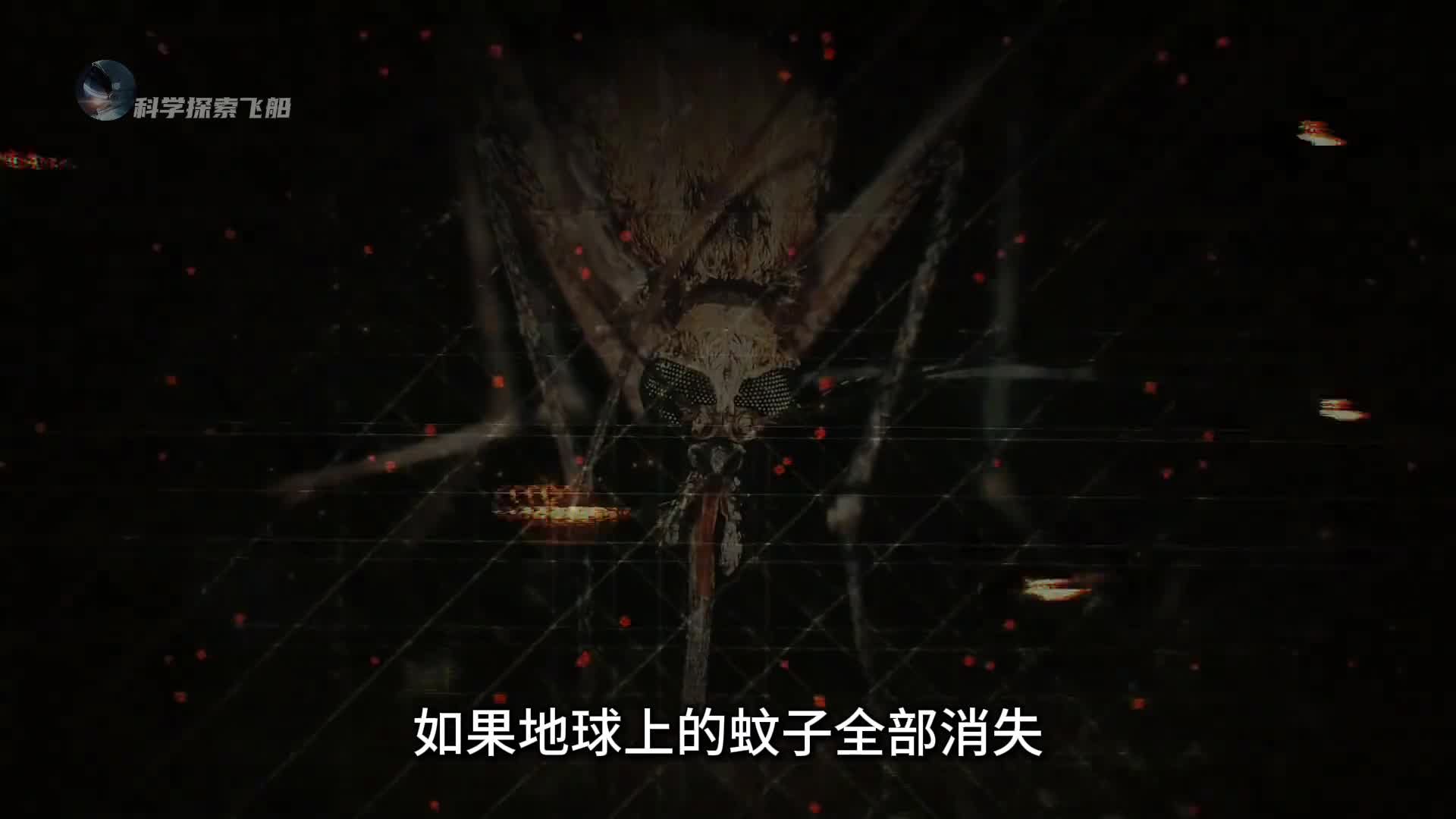 如果蚊子从地球上消失会发生什么