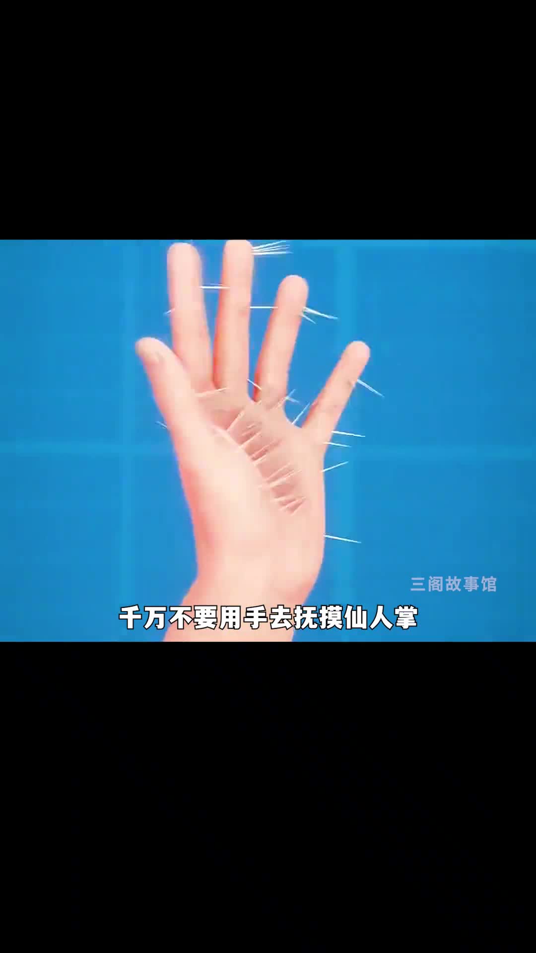 被仙人掌扎了该怎么拔出尖刺呢