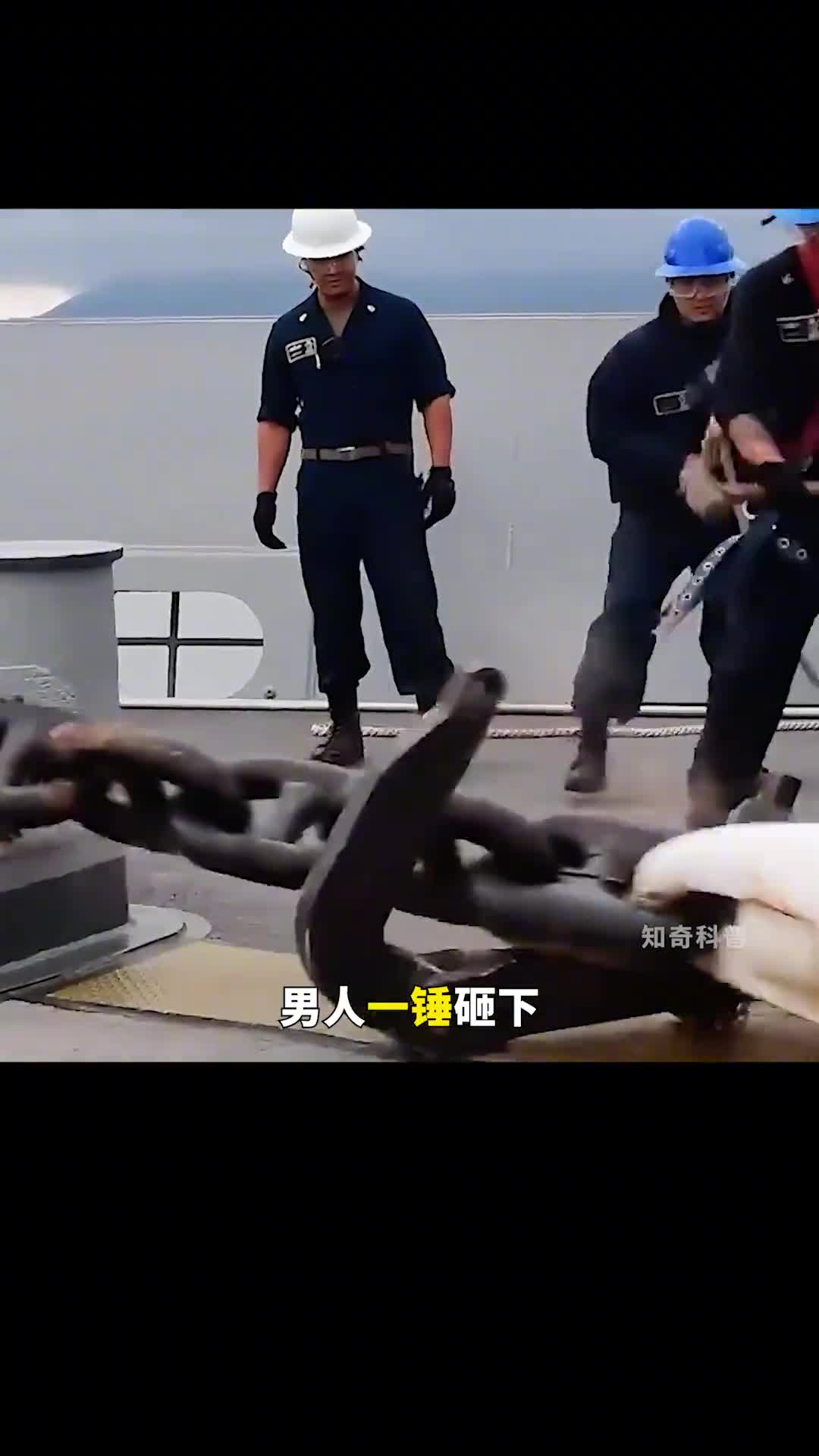 去南极捕虾是一种什么体验