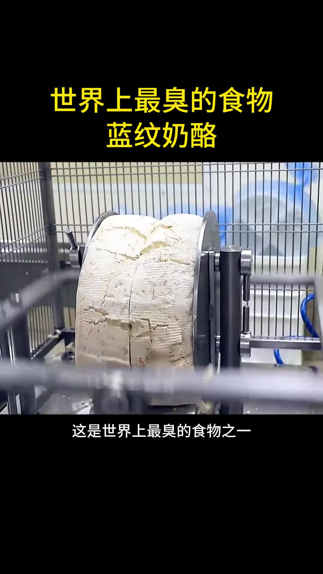 世界上最臭的奶酪竟还能卖出天价