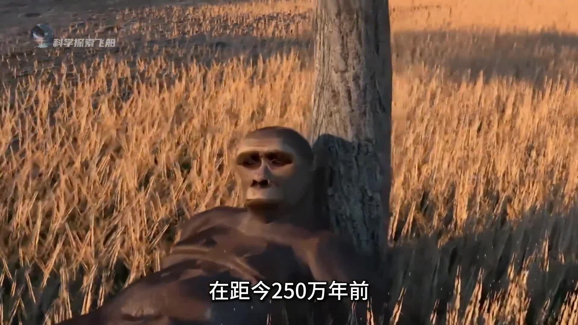 如果地球附近发生超新星爆发将会有多可怕