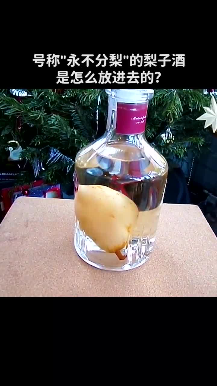 号称永不分梨的梨子酒梨是怎么放进去的