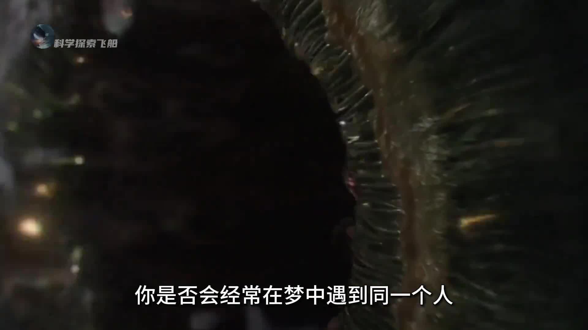 五种梦境的秘密每一种都是心理暗示你都梦到过吗