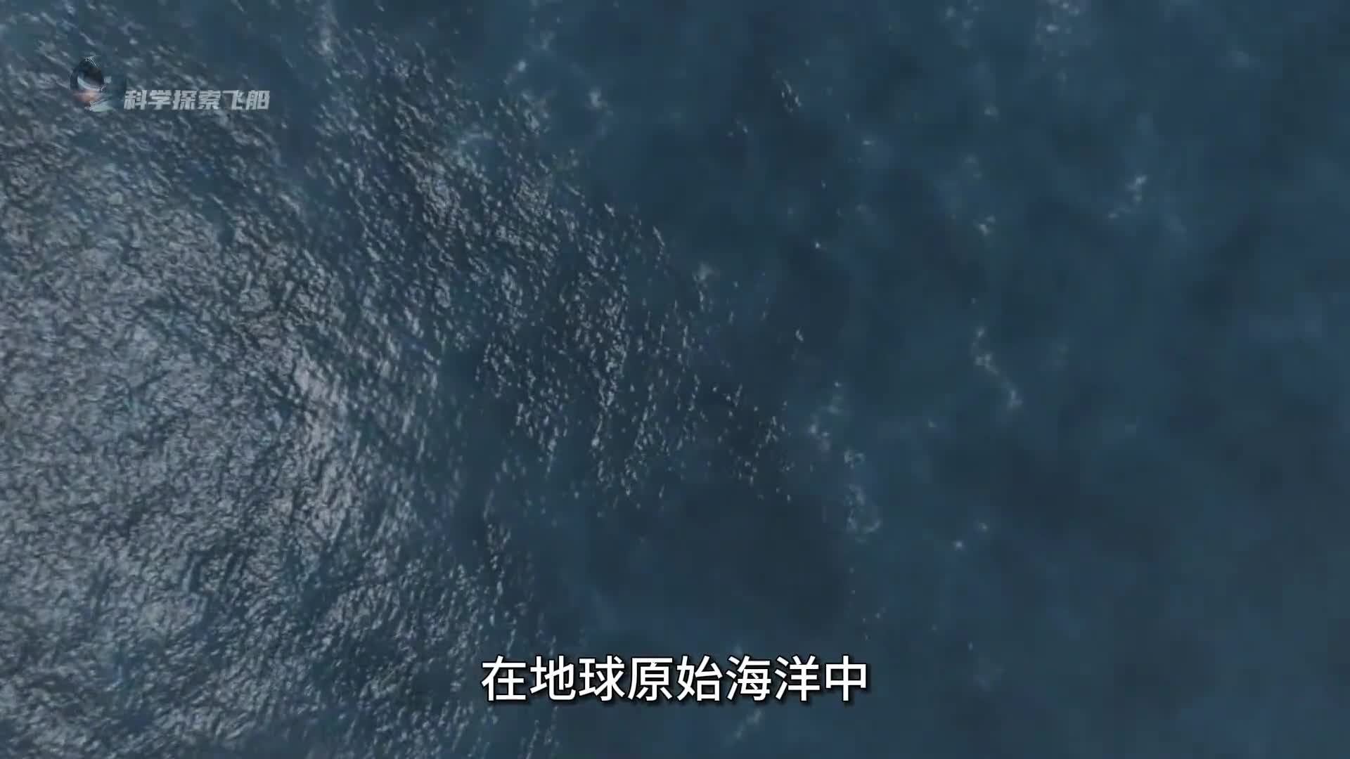 远古海洋中5种恐怖巨兽特别是最后一种可能至今都还没有灭绝