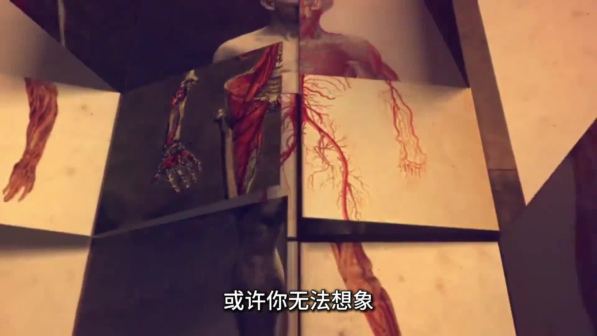 为什么说现代医学是在尸体堆中建立起来的