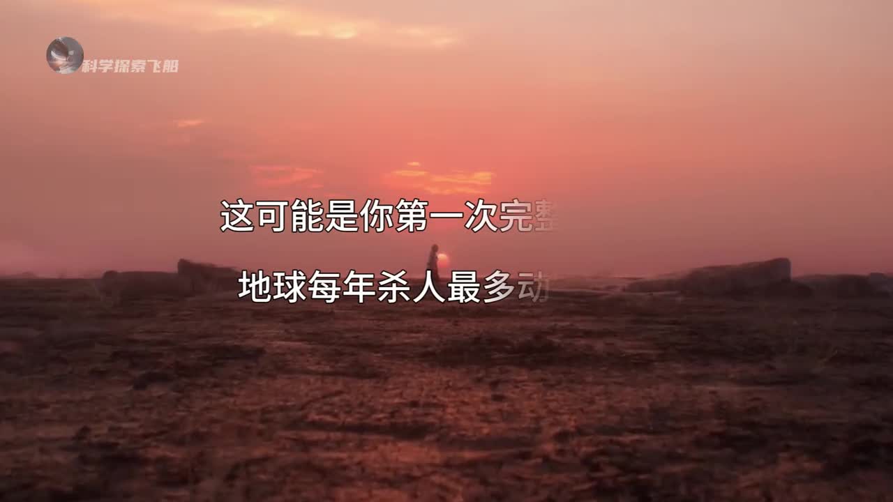 地球上每年杀人最多的动物排名最后一个超乎你的想象