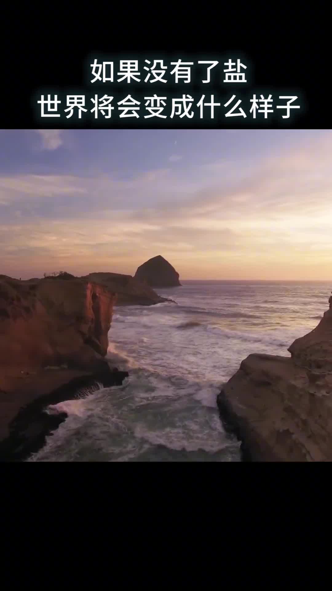 世界上没有盐会是怎么样的我是头条小百科