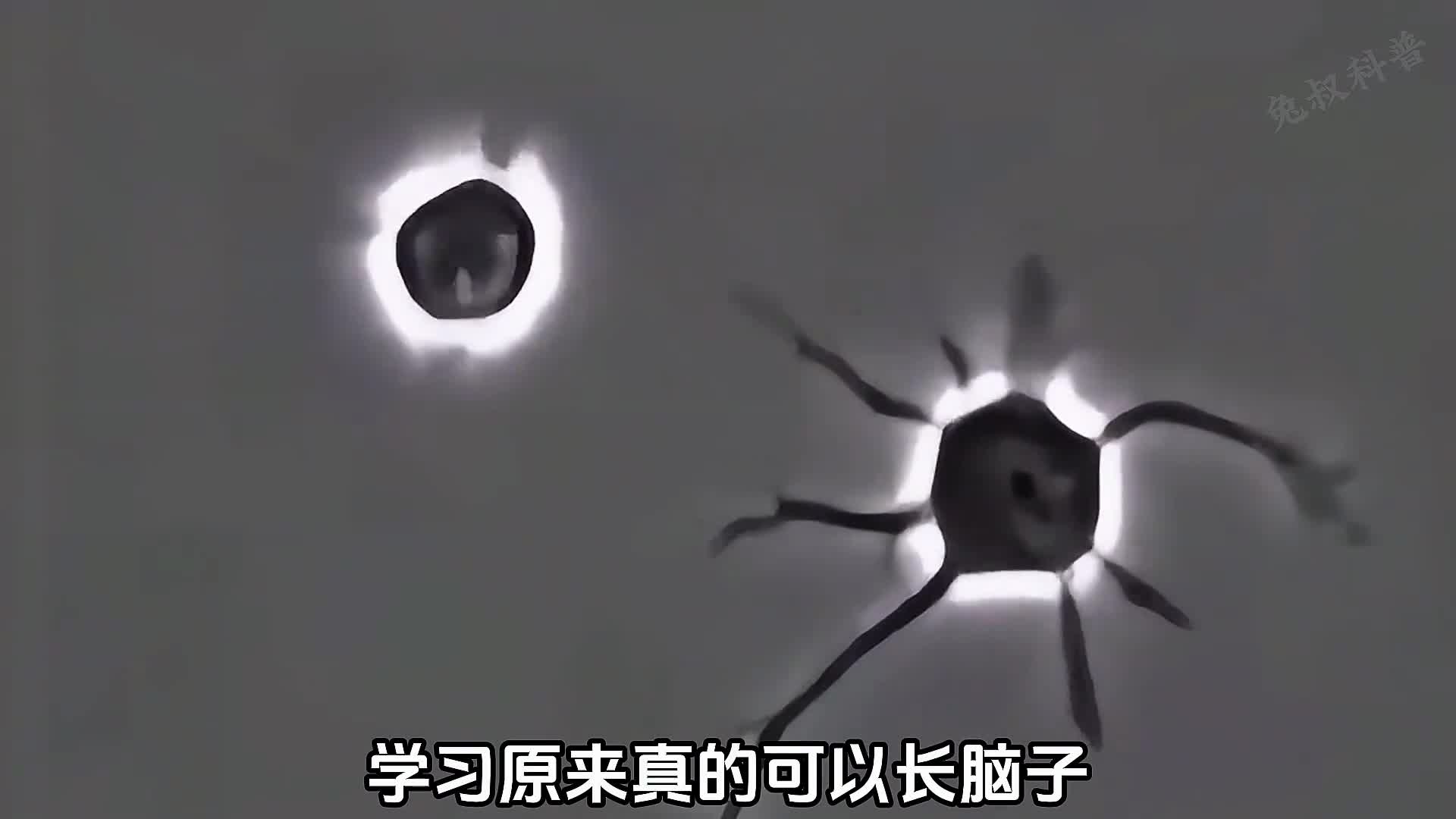 为什么说学习真的可以长脑子呢