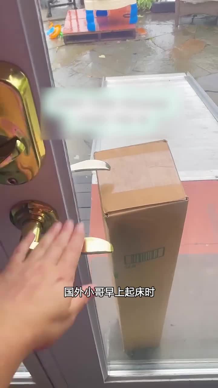 国外快递员这样送快递
